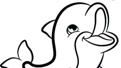 Sevimli Yunus Balığı Boyama Sayfası - Ücretsiz Çizim ve Boyama Yapın