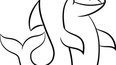 Sevimli Yunus Balığı Boyama Sayfası İçin Çizim