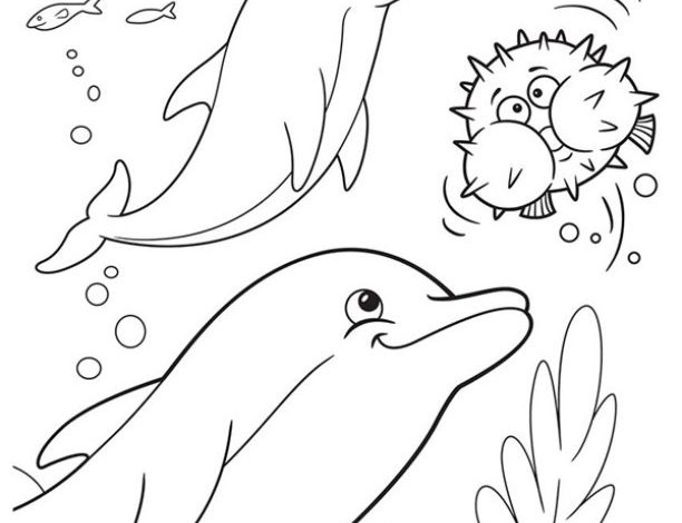 Dolphin and Pufferfish Underwater Coloring Page - Fun Marine Scene for Kids