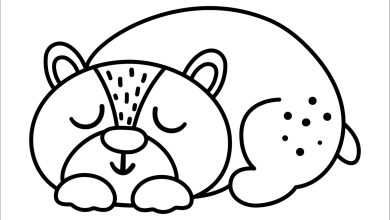 Uyuyan Ayı Boyama Sayfası - Sevimli Hayvanlar Boyama Kitabı