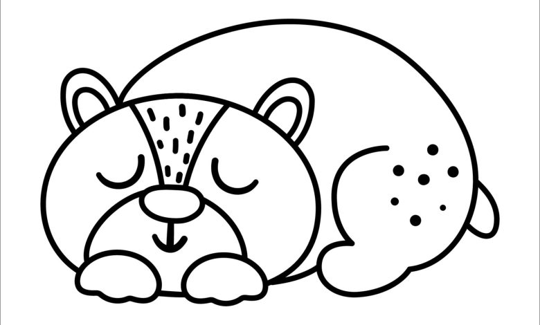 Uyuyan Ayı Boyama Sayfası - Sevimli Hayvanlar Boyama Kitabı