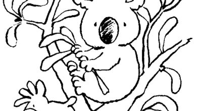 Koala ve Papağan Boyama Sayfası - Çocuklar İçin Eğlenceli Doğal Sahne