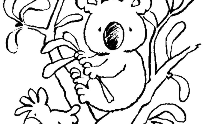 Koala ve Papağan Boyama Sayfası - Çocuklar İçin Eğlenceli Doğal Sahne