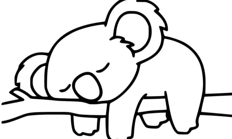 Uyuyan Koala Boyama Sayfası Şirin ve Sakin Bir Koala