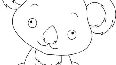Sevimli Koala Boyama Sayfası Resmi