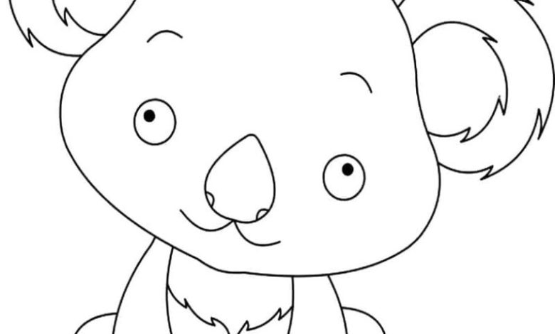 Sevimli Koala Boyama Sayfası Resmi