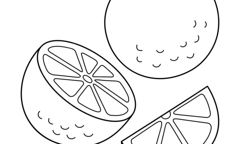 Mandala Tarzında Portakal Dilimleri Boyama Sayfası