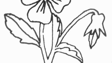 Çiçek Boyama Sayfası Detaylı Çiçek ve Yapraklar