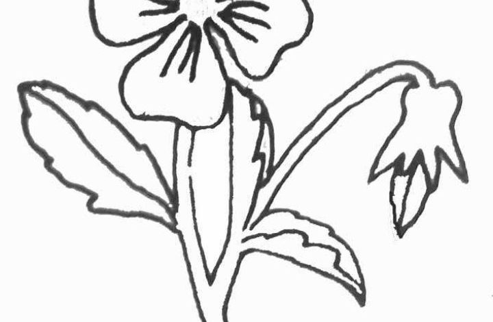 Çiçek Boyama Sayfası Detaylı Çiçek ve Yapraklar