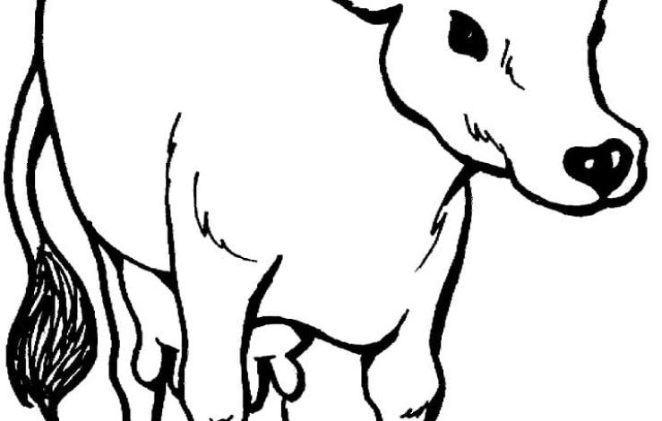 İnek Boyama Sayfası Ayrıntılı ve Kolay Boyanabilir Hayvan Resmi
