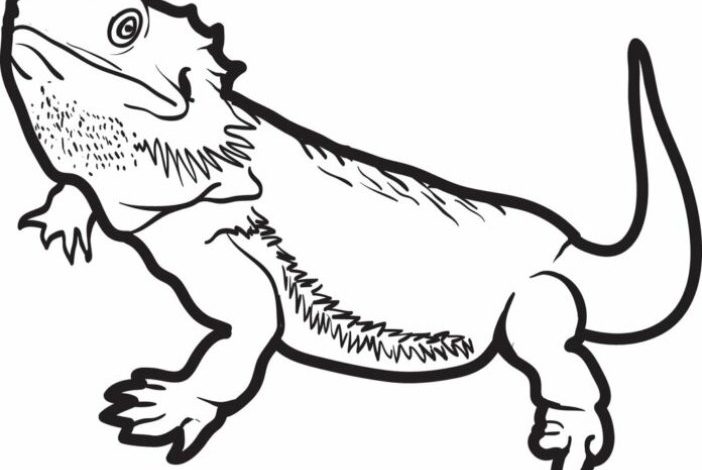 Kertenkele Boyama Sayfası Detaylı ve Eğlenceli Çizim