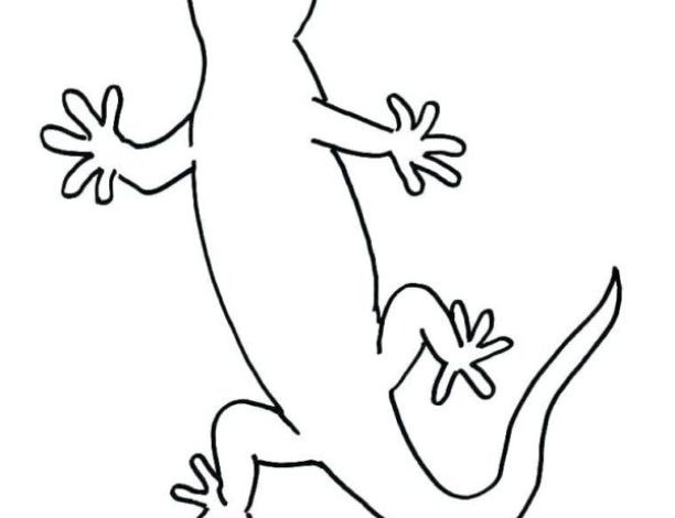 Renkli Kertenkele Boyama Sayfası Eğlenceli ve Ücretsiz