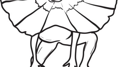 Frilled Lizard Coloring Page - Fun and Educational Printable