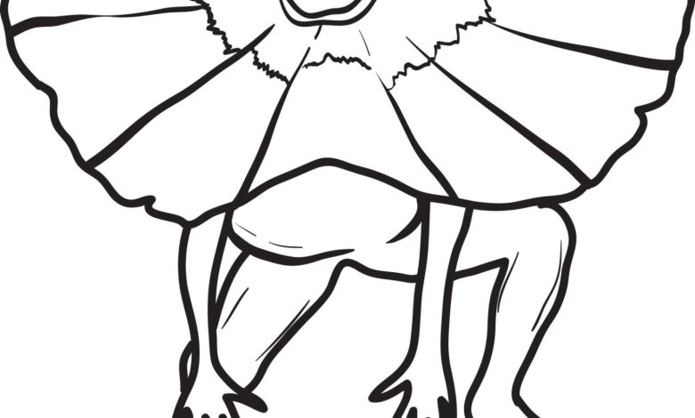 Frilled Lizard Coloring Page - Fun and Educational Printable