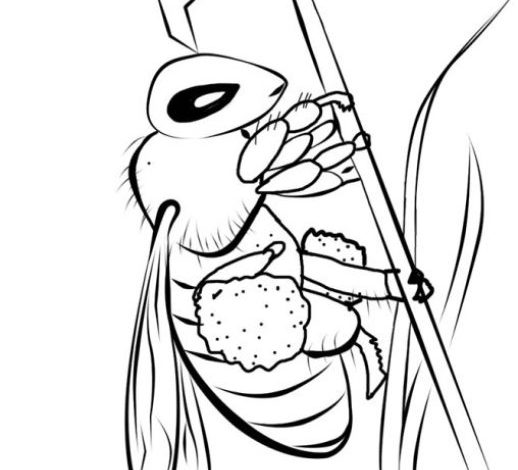 Çiçekten Polin Toplayan Arı Boyama Sayfası - Eğitici ve Eğlenceli Boyama Aktivitesi