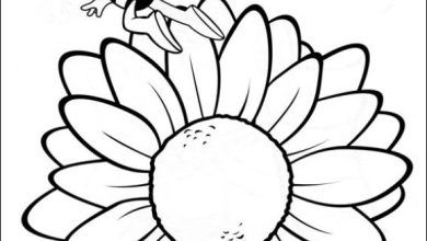 Sevimli Arı ve Büyük Papatya Boyama Sayfası