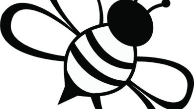 Eğlenceli Arı Boyama Sayfası - Çocuklar İçin Eğitici ve Eğlenceli Faaliyet