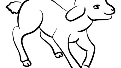 Sevimli Koşan Kuzu Boyama Sayfası