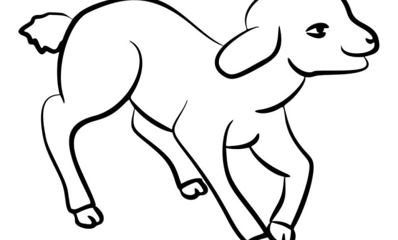 Sevimli Koşan Kuzu Boyama Sayfası