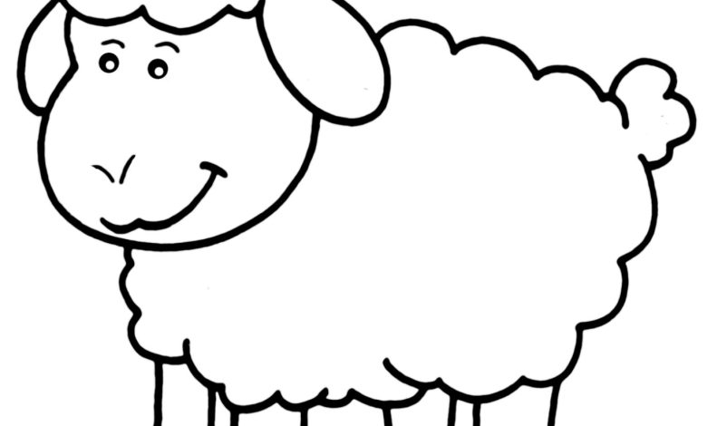 Sevimli Koyun Boyama Sayfası - Çocuklar için Eğlenceli ve Öğretici