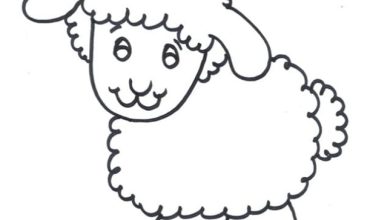 Yünlü Koyun Boyama Sayfası - Çocuklar İçin Eğlenceli Hayvan Boyama Şablonu