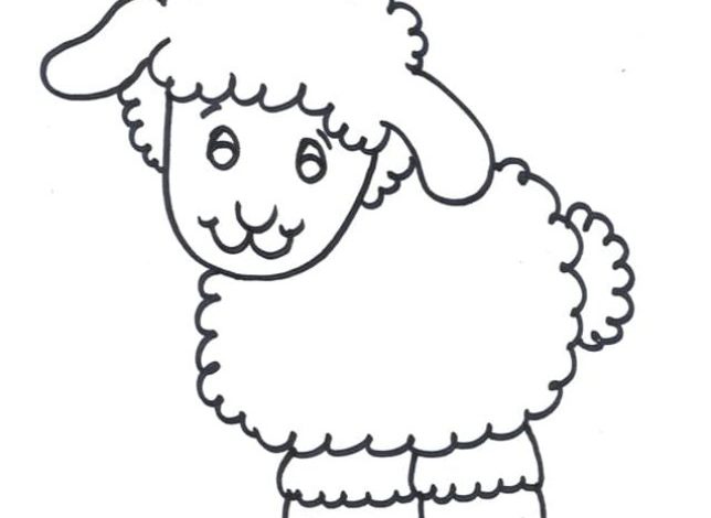Yünlü Koyun Boyama Sayfası - Çocuklar İçin Eğlenceli Hayvan Boyama Şablonu