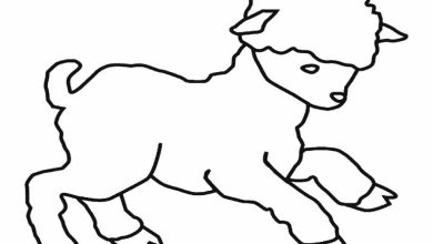 Sevimli Yavru Kuzu Boyama Sayfası - Ücretsiz İndirilebilir PDF