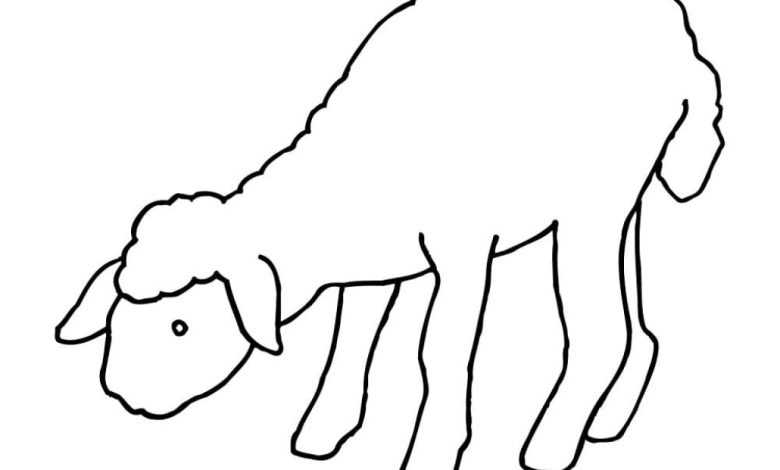 Sevimli Yavru Koyun Boyama Sayfası