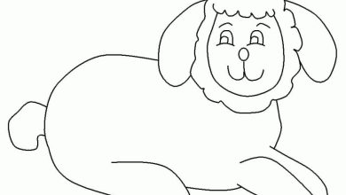 Sevimli Kuzu Boyama Sayfası - Çocuklar İçin Eğlenceli Hayvan Boyama Aktiviteleri