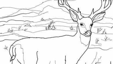 Dağ Manzarasında Geyik Boyama Sayfası - Eğlenceli ve Dinlendirici Aktivite
