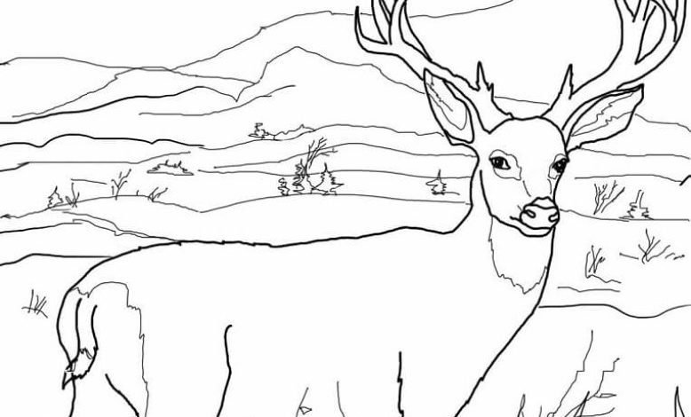 Dağ Manzarasında Geyik Boyama Sayfası - Eğlenceli ve Dinlendirici Aktivite
