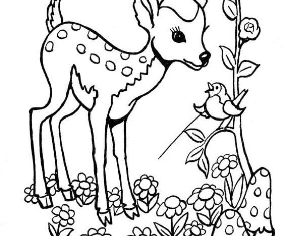 Ormanda Bambi ve Arkadaşı Kuş - Çocuklar İçin Boyama Sayfası