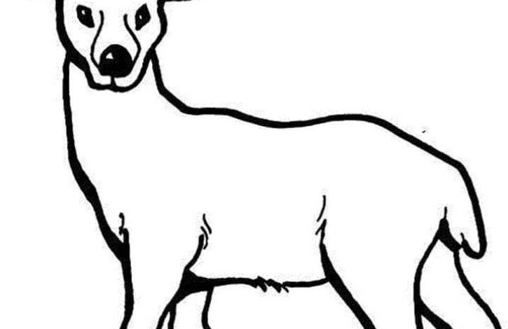 Boyama Sayfası Çizgilerle Geyik Resmi