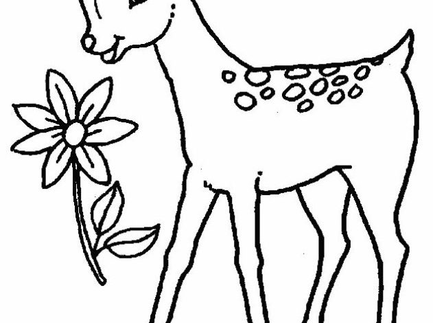 Sevimli Ceylan ve Çiçek Boyama Sayfası