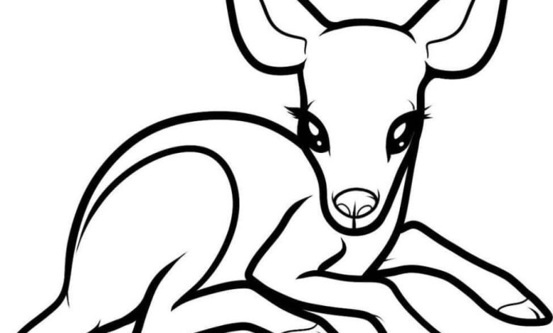 Geyik Yavrusu Boyama Sayfası Tatlı ve Basit Çizim ile Eğlenceli Boyama Saati