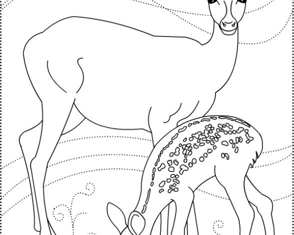 Anne ve Yavru Geyik Boyama Sayfası