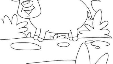 Sevimli Geyik ve Gülümseyen Güneş Boyama Sayfası