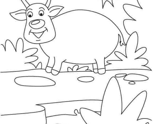 Sevimli Geyik ve Gülümseyen Güneş Boyama Sayfası