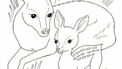 Bambi ve Annesi Doğada Boyama Sayfası