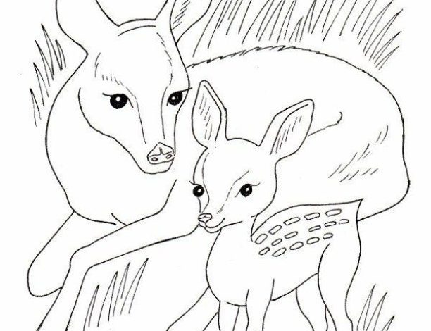 Bambi ve Annesi Doğada Boyama Sayfası