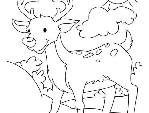 Sevimli Geyik Boyama Sayfası - Güneşli Orman Teması