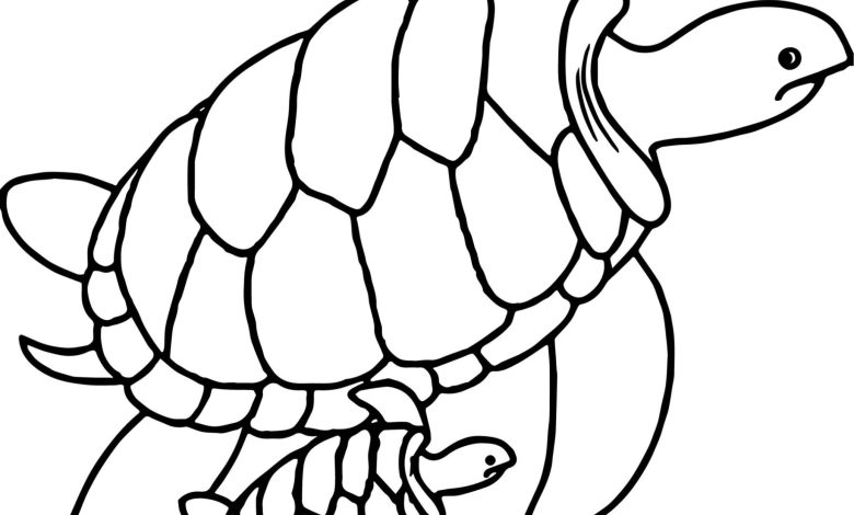 Anne ve Yavru Kaplumbağa Boyama Sayfası