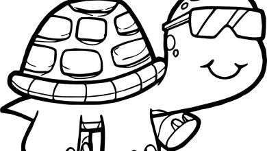 Çocuklar için Komik Gözlüklü Kaplumbağa Boyama Sayfası