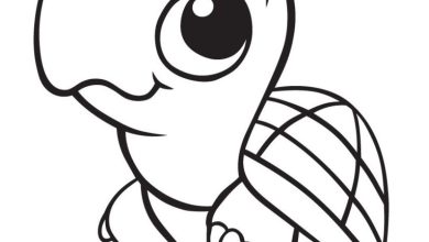 Sevimli Kaplumbağa Boyama Sayfası