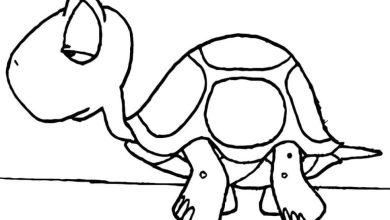 Çocuklar İçin Eğlenceli Kaplumbağa Boyama Sayfası