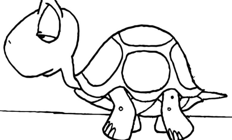 Çocuklar İçin Eğlenceli Kaplumbağa Boyama Sayfası