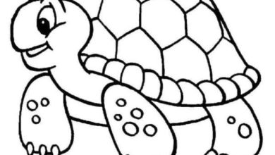 Sevimli Kaplumbağa Boyama Sayfası Çocuklar İçin Eğlenceli Aktivite