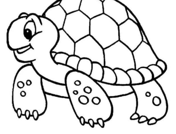 Sevimli Kaplumbağa Boyama Sayfası Çocuklar İçin Eğlenceli Aktivite