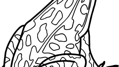 Çocuklar İçin Kurbağa Boyama Sayfası – Ücretsiz ve Eğitici