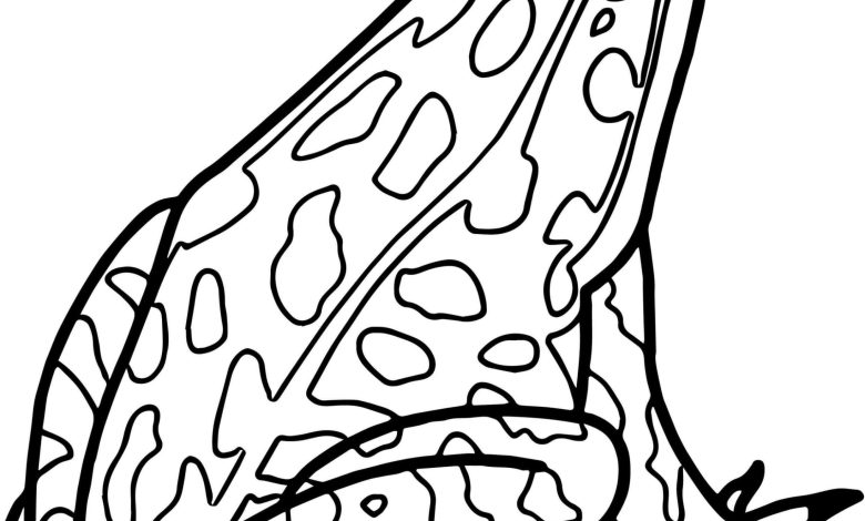 Çocuklar İçin Kurbağa Boyama Sayfası – Ücretsiz ve Eğitici